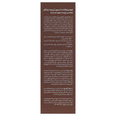 فوم برنزه کننده فوری برن ویت